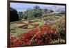 Jardim Botanico (Botanical Gardens), Funchal, Madeira, Portugal, Atlantic-Jenny Pate-Framed Photographic Print