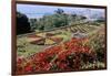 Jardim Botanico (Botanical Gardens), Funchal, Madeira, Portugal, Atlantic-Jenny Pate-Framed Photographic Print