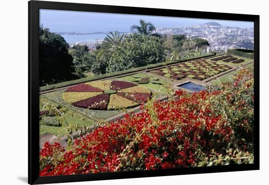 Jardim Botanico (Botanical Gardens), Funchal, Madeira, Portugal, Atlantic-Jenny Pate-Framed Photographic Print