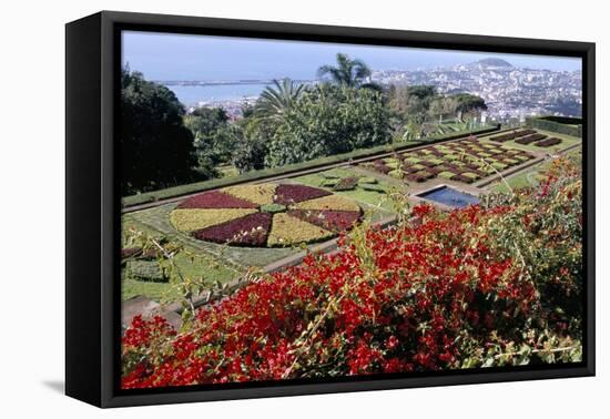 Jardim Botanico (Botanical Gardens), Funchal, Madeira, Portugal, Atlantic-Jenny Pate-Framed Stretched Canvas