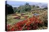 Jardim Botanico (Botanical Gardens), Funchal, Madeira, Portugal, Atlantic-Jenny Pate-Stretched Canvas