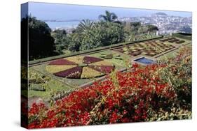 Jardim Botanico (Botanical Gardens), Funchal, Madeira, Portugal, Atlantic-Jenny Pate-Stretched Canvas