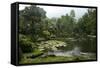 Jardim Botanico (Botanical Gardens), Rio de Janeiro, Brazil, South America-Yadid Levy-Framed Stretched Canvas