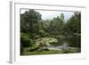 Jardim Botanico (Botanical Gardens), Rio de Janeiro, Brazil, South America-Yadid Levy-Framed Photographic Print