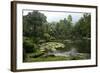 Jardim Botanico (Botanical Gardens), Rio de Janeiro, Brazil, South America-Yadid Levy-Framed Photographic Print