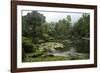 Jardim Botanico (Botanical Gardens), Rio de Janeiro, Brazil, South America-Yadid Levy-Framed Photographic Print