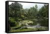 Jardim Botanico (Botanical Gardens), Rio de Janeiro, Brazil, South America-Yadid Levy-Framed Stretched Canvas