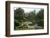 Jardim Botanico (Botanical Gardens), Rio de Janeiro, Brazil, South America-Yadid Levy-Framed Photographic Print