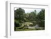 Jardim Botanico (Botanical Gardens), Rio de Janeiro, Brazil, South America-Yadid Levy-Framed Photographic Print