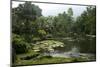 Jardim Botanico (Botanical Gardens), Rio de Janeiro, Brazil, South America-Yadid Levy-Mounted Photographic Print