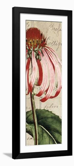 Jardin Botanique I-Sabine Berg-Framed Art Print