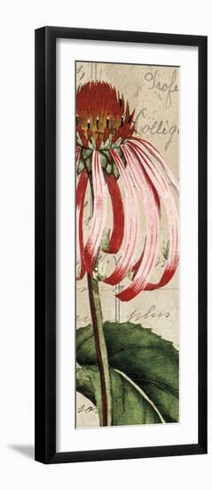 Jardin Botanique I-Sabine Berg-Framed Giclee Print