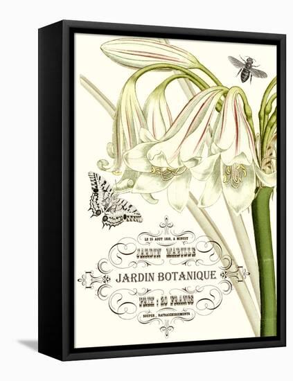 Jardin Botanique I-Vision Studio-Framed Stretched Canvas