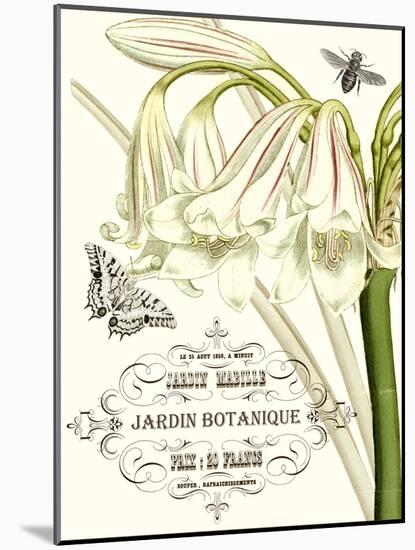 Jardin Botanique I-Vision Studio-Mounted Art Print