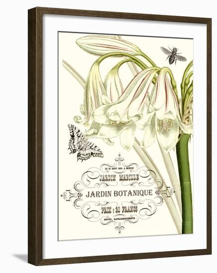 Jardin Botanique I-Vision Studio-Framed Art Print