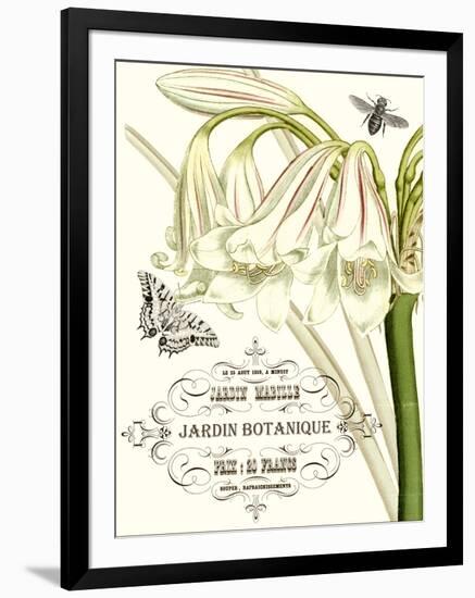 Jardin Botanique I-Vision Studio-Framed Art Print