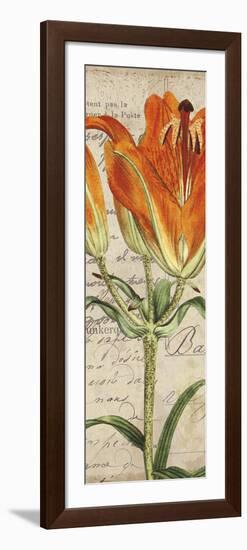 Jardin Botanique II-Sabine Berg-Framed Art Print