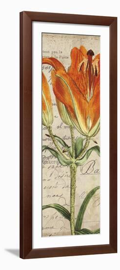 Jardin Botanique II-Sabine Berg-Framed Art Print