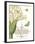 Jardin Botanique II-Vision Studio-Framed Art Print