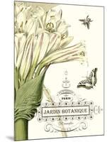 Jardin Botanique II-Vision Studio-Mounted Art Print