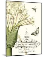 Jardin Botanique II-Vision Studio-Mounted Art Print