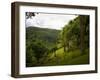 Jardin De Balata, Martinique, French Antilles, West Indies-Scott T. Smith-Framed Photographic Print