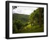 Jardin De Balata, Martinique, French Antilles, West Indies-Scott T. Smith-Framed Photographic Print