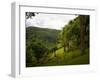 Jardin De Balata, Martinique, French Antilles, West Indies-Scott T. Smith-Framed Photographic Print