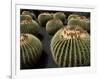 Jardin De Cactus Near Guatiza, Lanzarote, Canary Islands, Spain-Hans Peter Merten-Framed Photographic Print