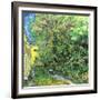 Jardin de l'hospice Saint-Paul-Vincent van Gogh-Framed Art Print