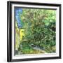 Jardin de l'hospice Saint-Paul-Vincent van Gogh-Framed Art Print