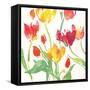 Jardin de Plantes I-Julie Paton-Framed Stretched Canvas