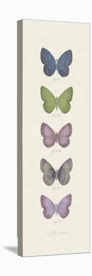 Jardin des Papillons II-Maria Mendez-Stretched Canvas