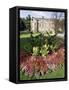 Jardin Des Plantes, Quartier Latin, Paris, France-Duncan Maxwell-Framed Stretched Canvas