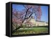Jardin Des Tuileries and Musee Du Louvre, Paris, France-Neale Clarke-Framed Stretched Canvas