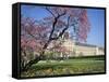 Jardin Des Tuileries and Musee Du Louvre, Paris, France-Neale Clarke-Framed Stretched Canvas