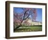 Jardin Des Tuileries and Musee Du Louvre, Paris, France-Neale Clarke-Framed Photographic Print