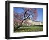 Jardin Des Tuileries and Musee Du Louvre, Paris, France-Neale Clarke-Framed Photographic Print