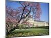 Jardin Des Tuileries and Musee Du Louvre, Paris, France-Neale Clarke-Mounted Photographic Print