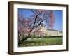 Jardin Des Tuileries and Musee Du Louvre, Paris, France-Neale Clarke-Framed Photographic Print