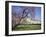 Jardin Des Tuileries and Musee Du Louvre, Paris, France-Neale Clarke-Framed Photographic Print