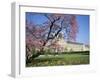 Jardin Des Tuileries and Musee Du Louvre, Paris, France-Neale Clarke-Framed Photographic Print