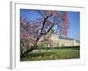 Jardin Des Tuileries and Musee Du Louvre, Paris, France-Neale Clarke-Framed Photographic Print