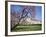 Jardin Des Tuileries and Musee Du Louvre, Paris, France-Neale Clarke-Framed Photographic Print