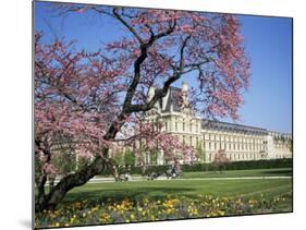 Jardin Des Tuileries and Musee Du Louvre, Paris, France-Neale Clarke-Mounted Photographic Print