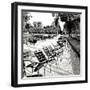 Jardin des Tuileries II-George Johnson-Framed Photographic Print