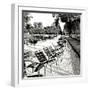 Jardin des Tuileries II-George Johnson-Framed Photographic Print