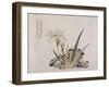 "Jardin du grain de moutarde" : rocher et iris-null-Framed Giclee Print