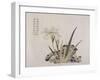 "Jardin du grain de moutarde" : rocher et iris-null-Framed Giclee Print