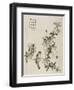 "Jardin du grain de moutarde"-null-Framed Giclee Print